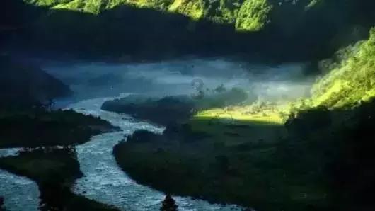 逃离大犀牛出没地